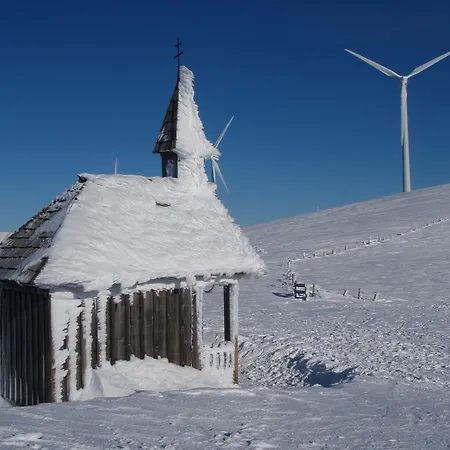 Lachtalhaus 3* Lachtal