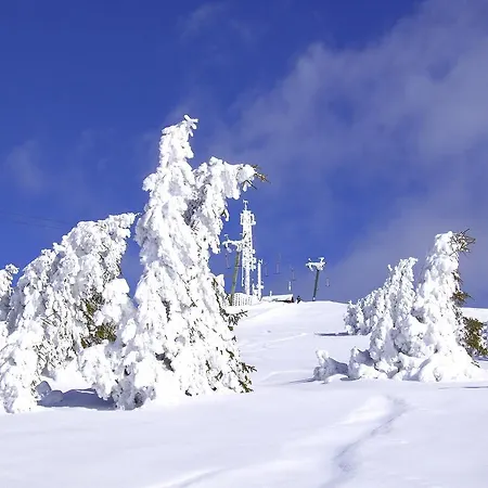 拉克陶豪斯酒店 酒店 3*