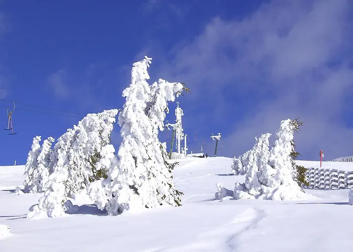 Lachtalhaus Hotel 3*