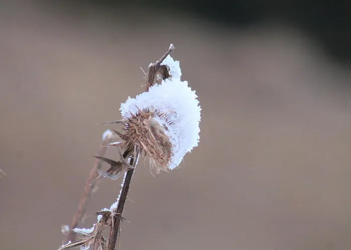 酒店 拉克陶豪斯酒店 拉赫陶